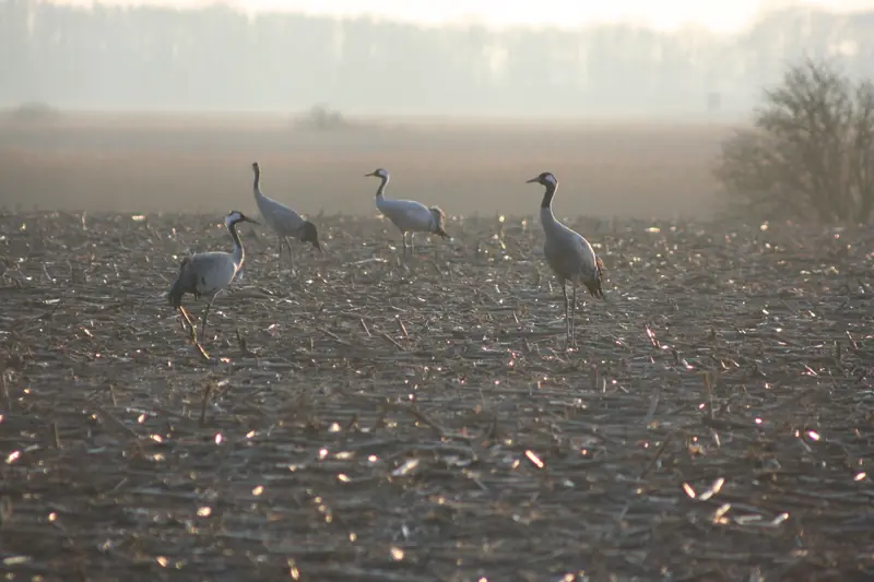  - Lake in Germany, Germany