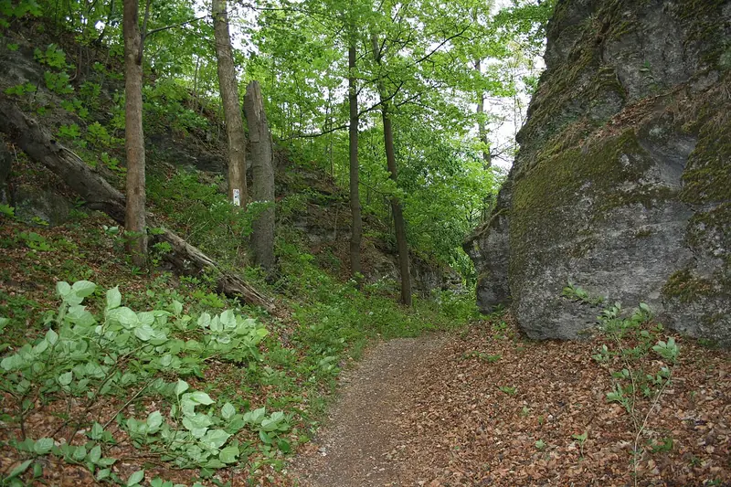  - Castle in Germany, Germany