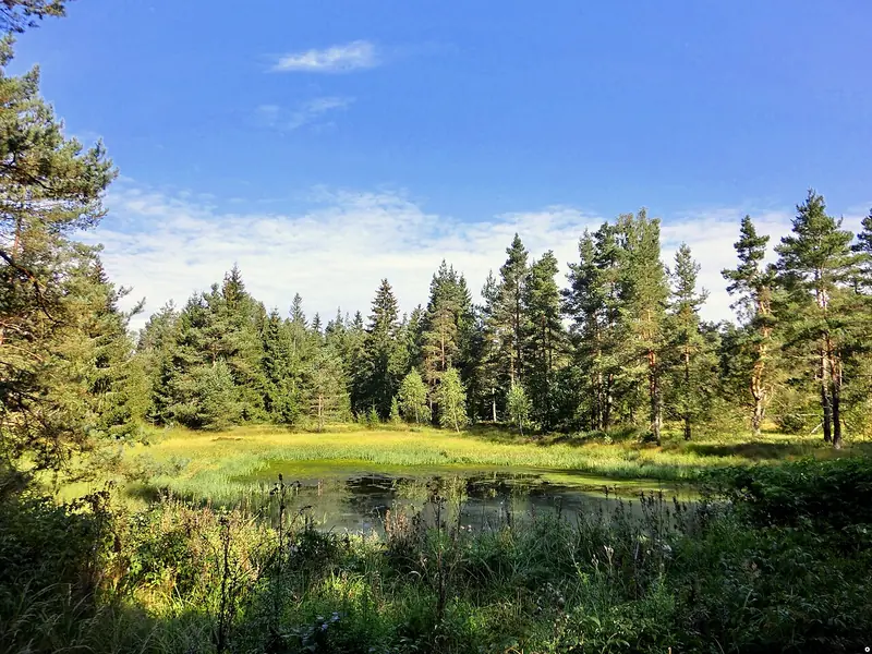  - Nature Reserve in Germany, Germany