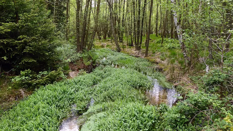  - Valley in Germany, Germany