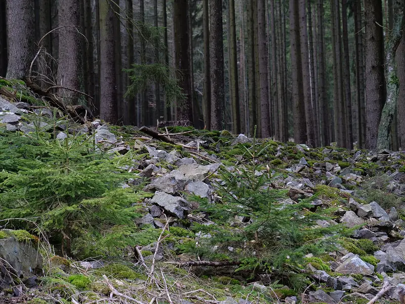  - Archaeological Site in Germany, Germany