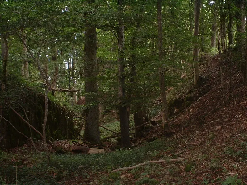  - Castle in Germany, Germany