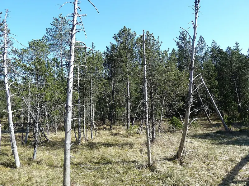  - Nature Reserve in Germany, Germany