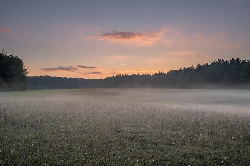  - Nature Reserve in Germany, Germany