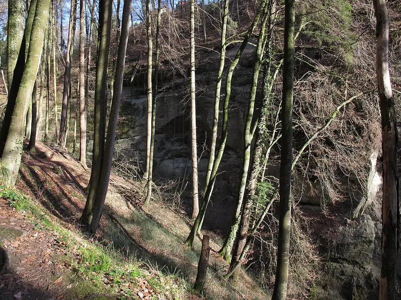  - Nature Reserve in Germany, Germany