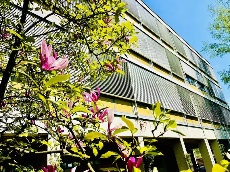  - School Building in Germany, Germany
