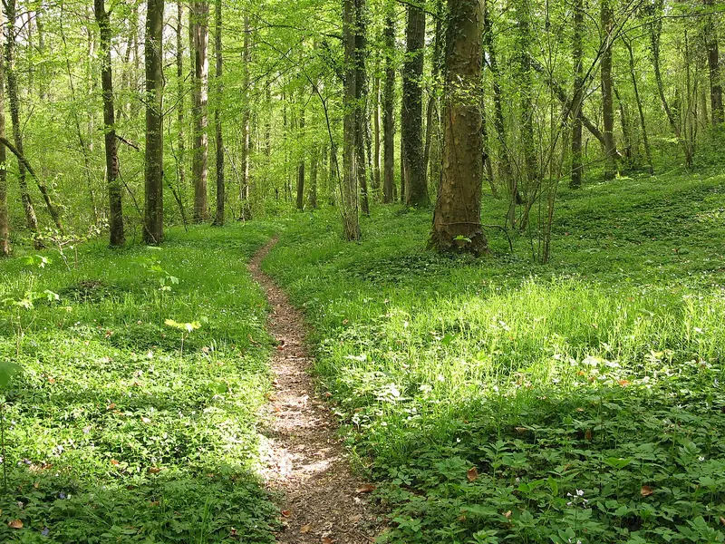  - Nature Reserve in Germany, Germany