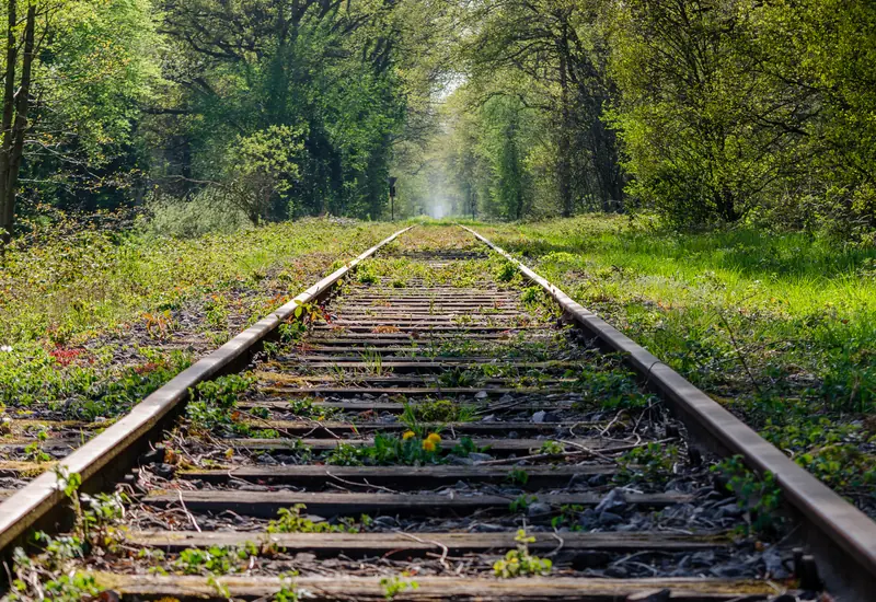  - Park in Germany, Germany