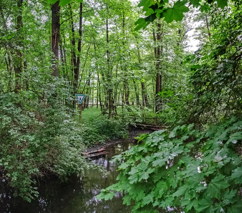  - Nature Reserve in Germany, Germany