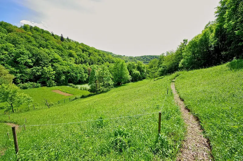  - Nature Reserve in Germany, Germany