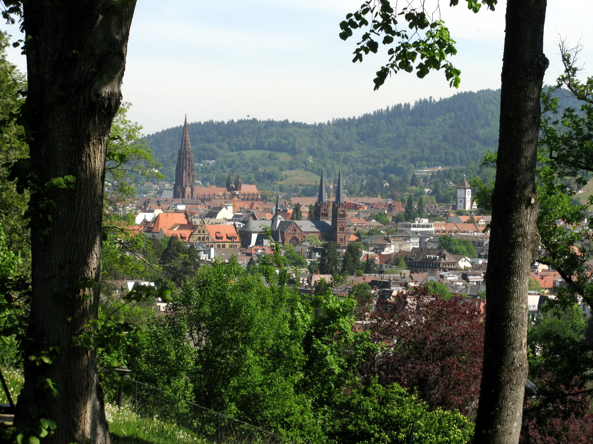 Johanneskirche - cultural site in Hesse, Germany