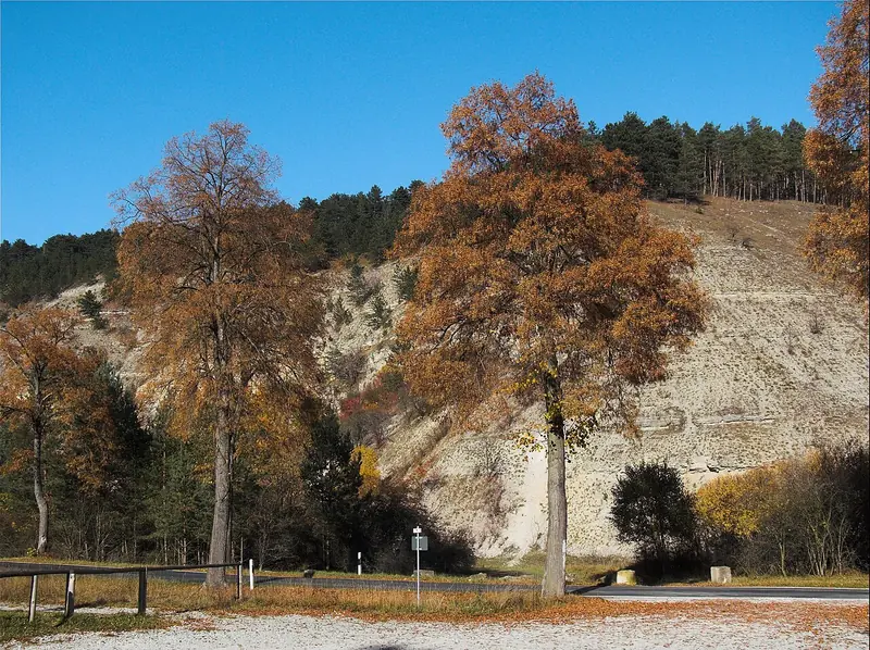  - Valley in Germany, Germany
