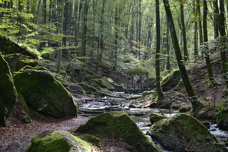  - Nature Reserve in Germany, Germany