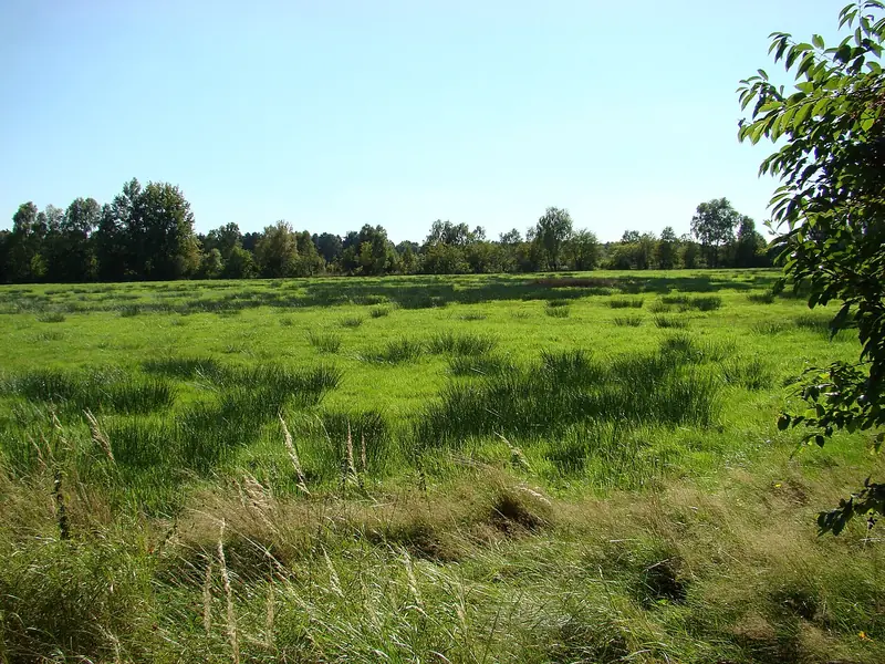  - Nature Reserve in Germany, Germany