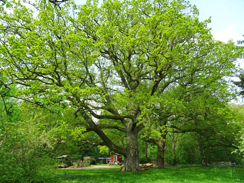  - Lake in Germany, Germany