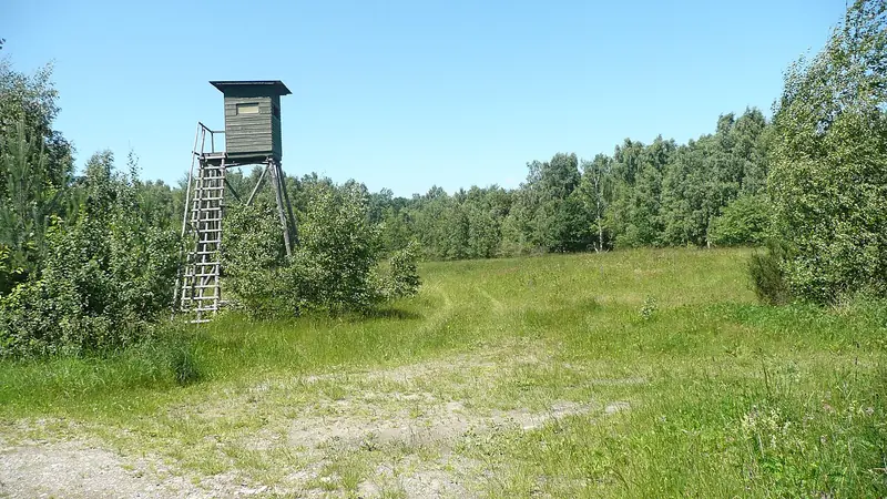  - Nature Reserve in Germany, Germany