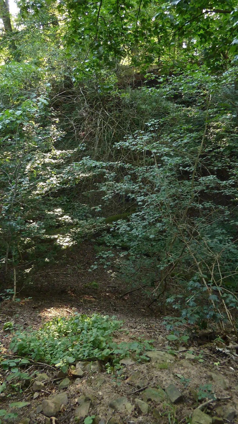  - Castle in Germany, Germany