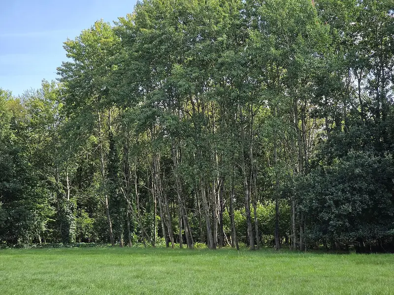  - Nature Reserve in Germany, Germany