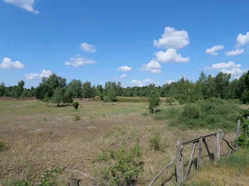  - Nature Reserve in Germany, Germany