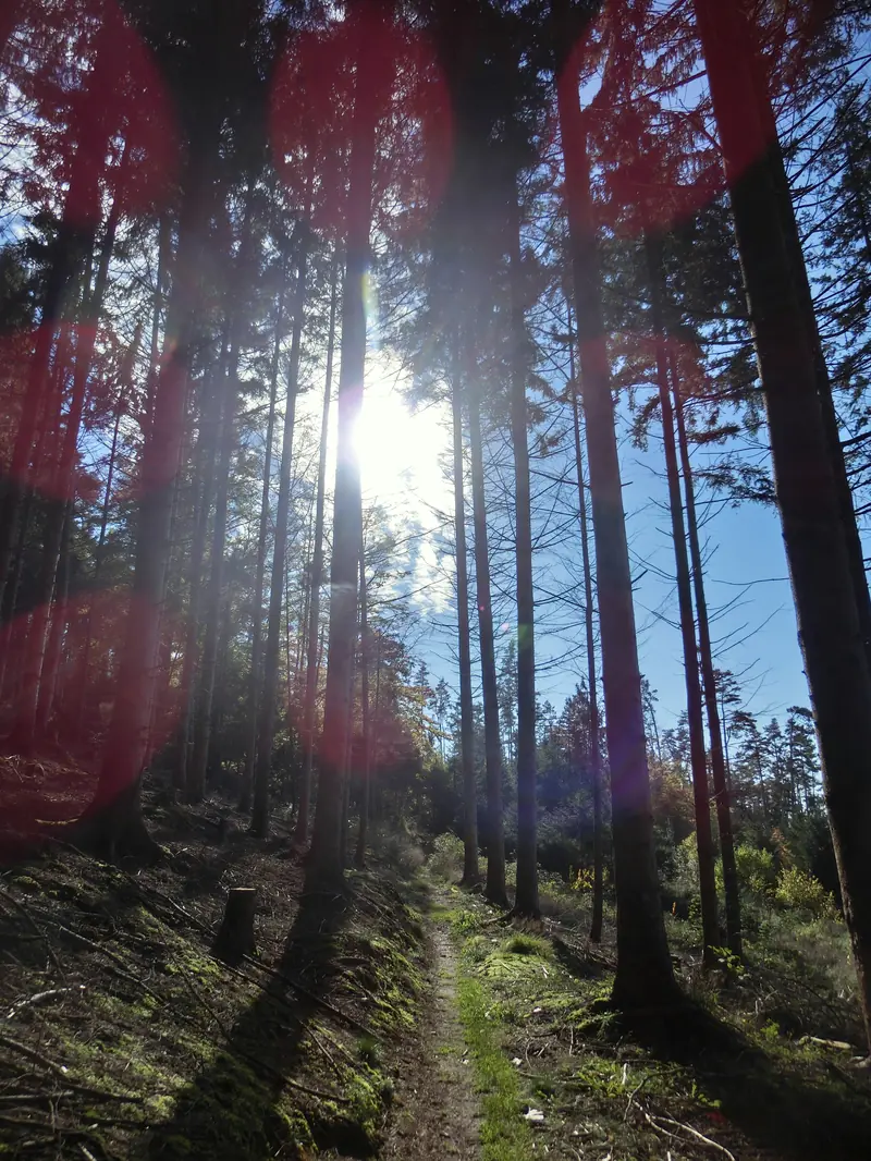  - Archaeological Site in Germany, Germany