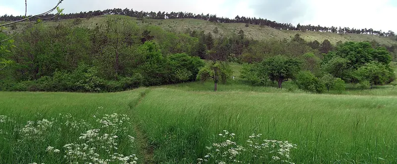  - Nature Reserve in Germany, Germany