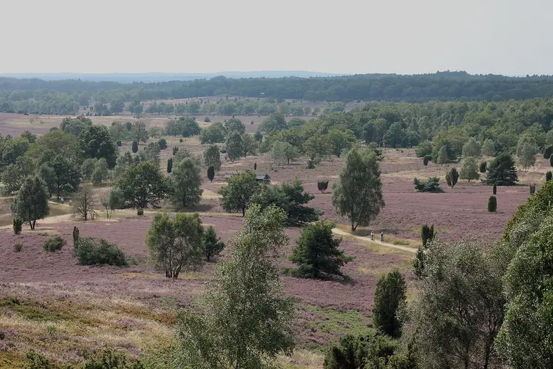  - Nature Reserve in Germany, Germany