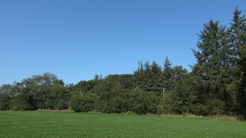  - Nature Reserve in Germany, Germany