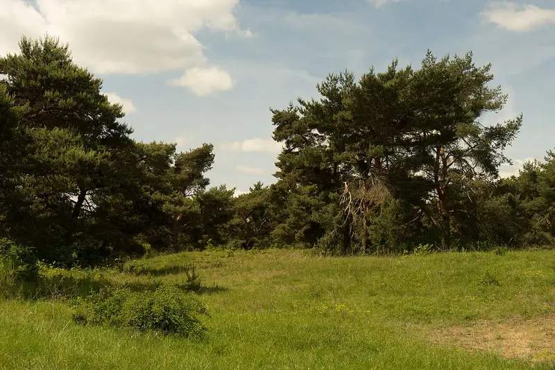  - Nature Reserve in Germany, Germany