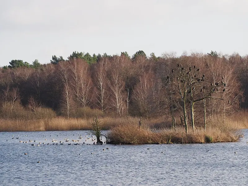  - Nature Reserve in Germany, Germany