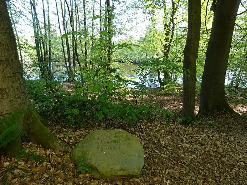  - Nature Reserve in Germany, Germany