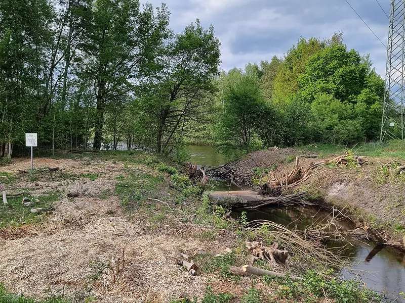  - Nature Reserve in Germany, Germany