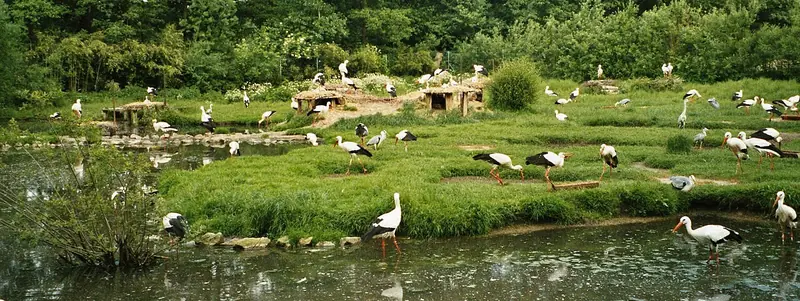  - Zoo in Germany, Germany