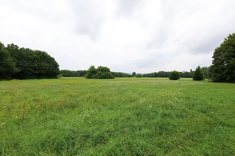  - Park in Germany, Germany