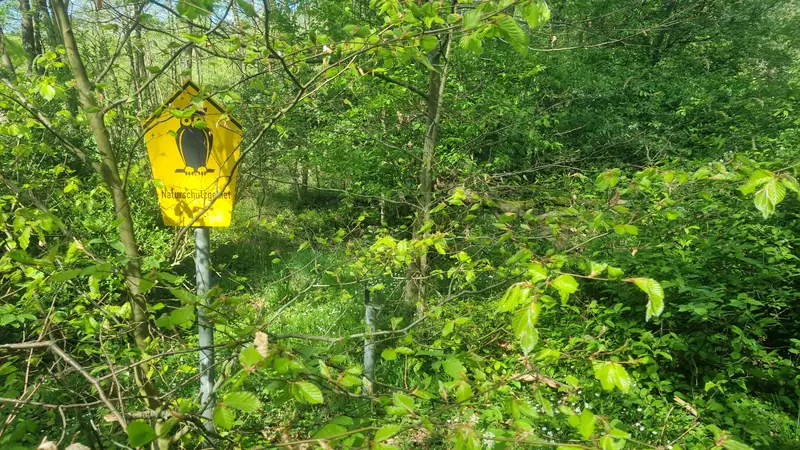  - Nature Reserve in Germany, Germany