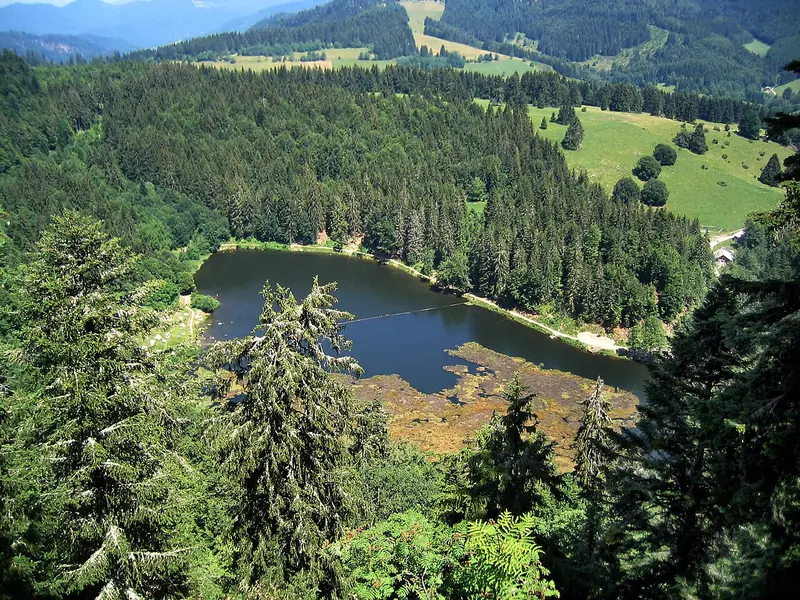  - Nature Reserve in Germany, Germany