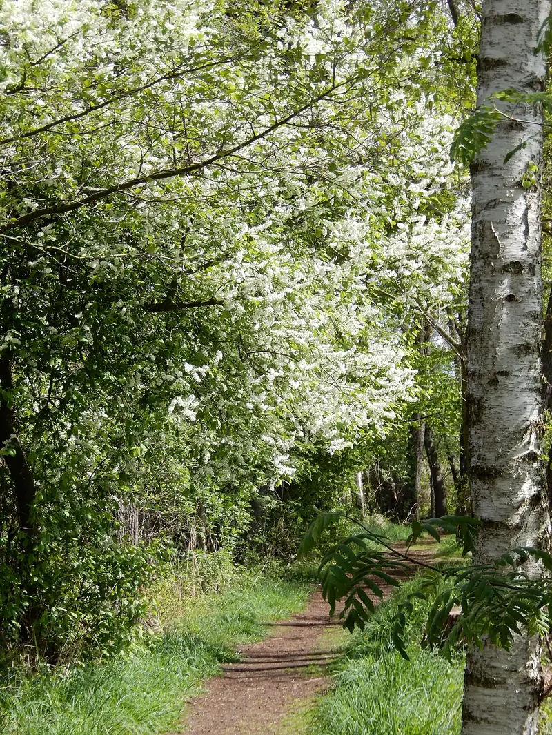  - Biosphere Reserve in Germany, Germany