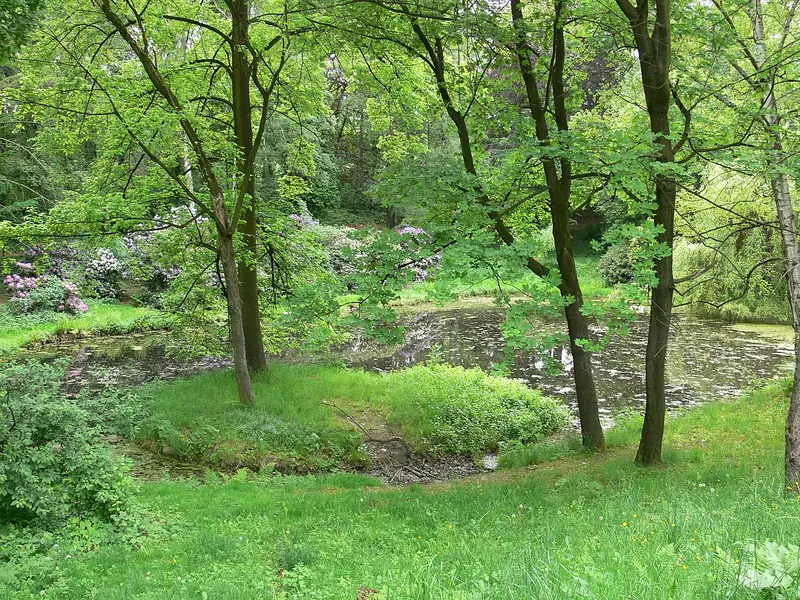  - Park in Germany, Germany