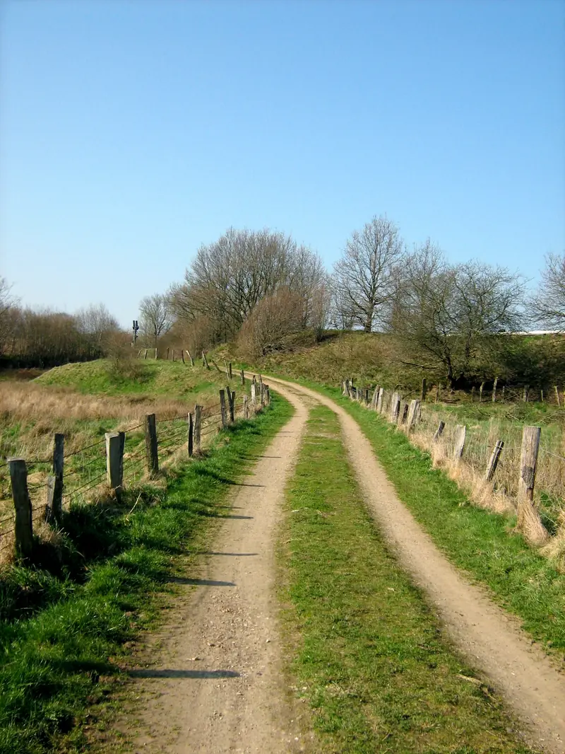  - Nature Reserve in Germany, Germany