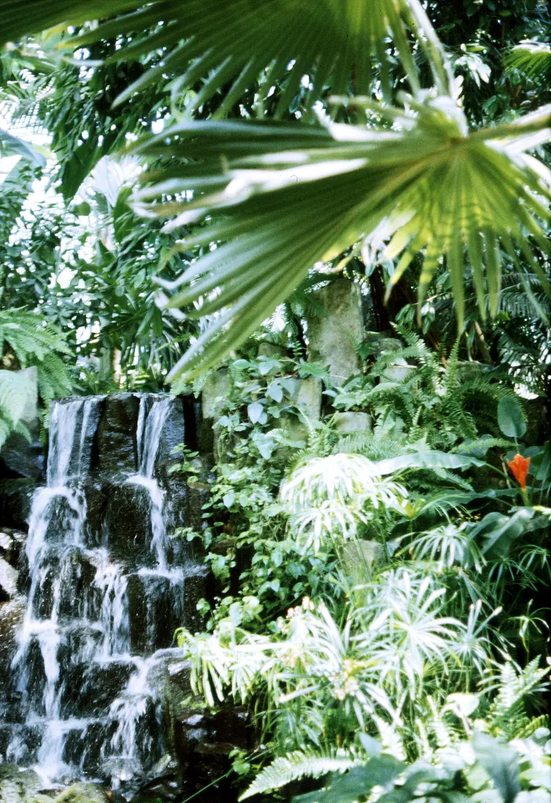  - Botanical Garden in Germany, Germany