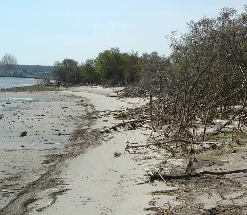  - Nature Reserve in Germany, Germany