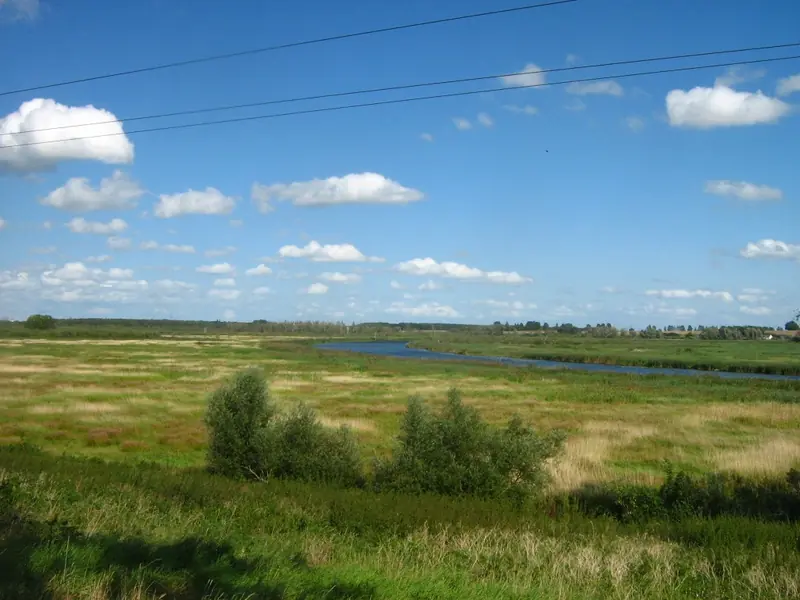  - Nature Reserve in Germany, Germany
