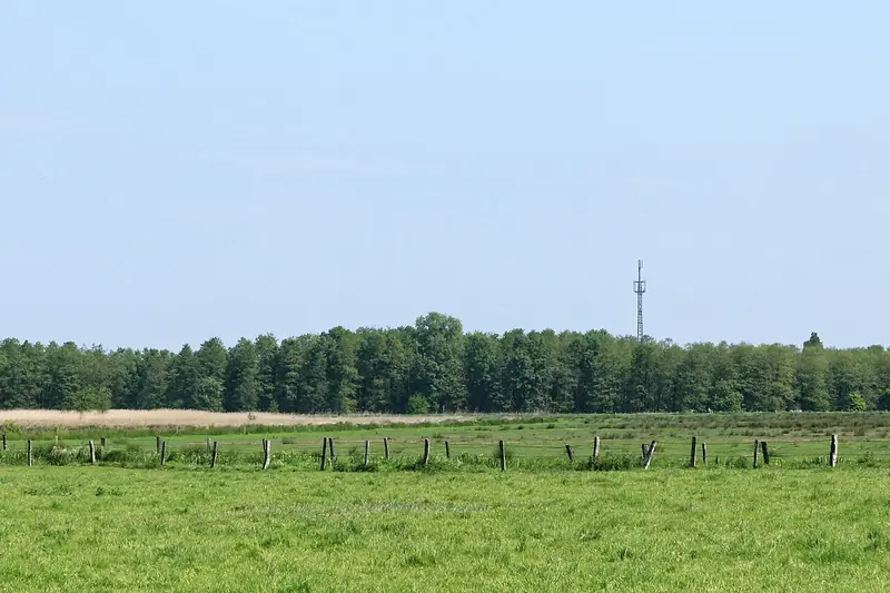  - Nature Reserve in Germany, Germany