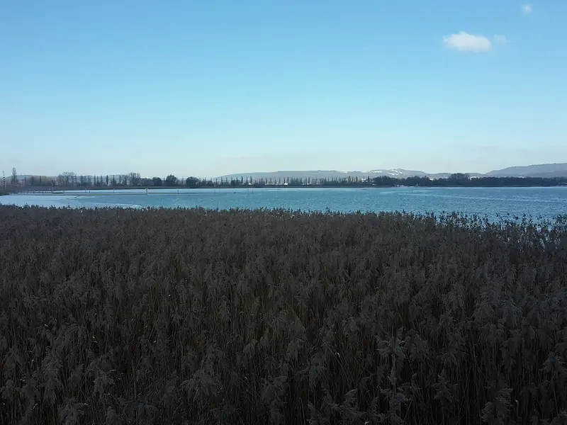  - Nature Reserve in Germany, Germany