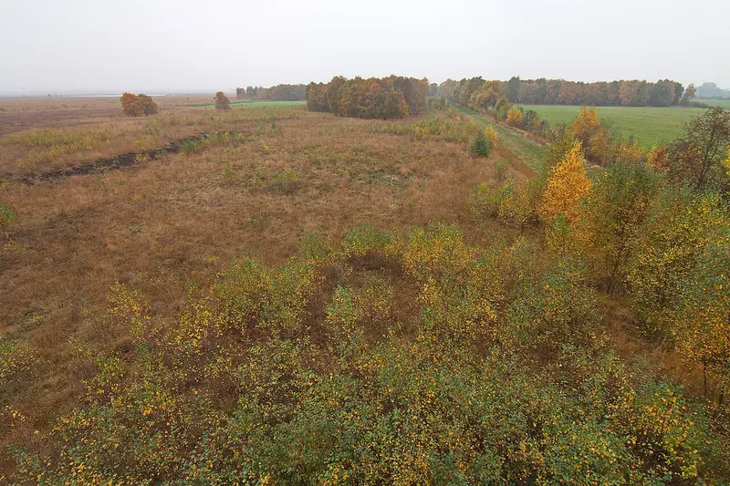  - Nature Reserve in Germany, Germany