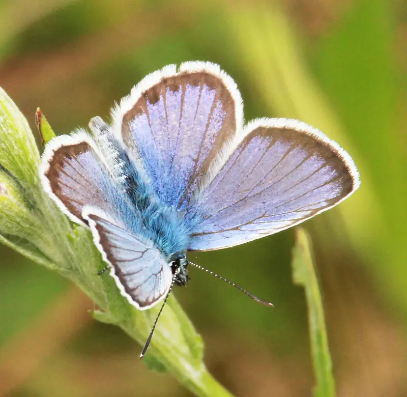  - Biosphere Reserve in Germany, Germany