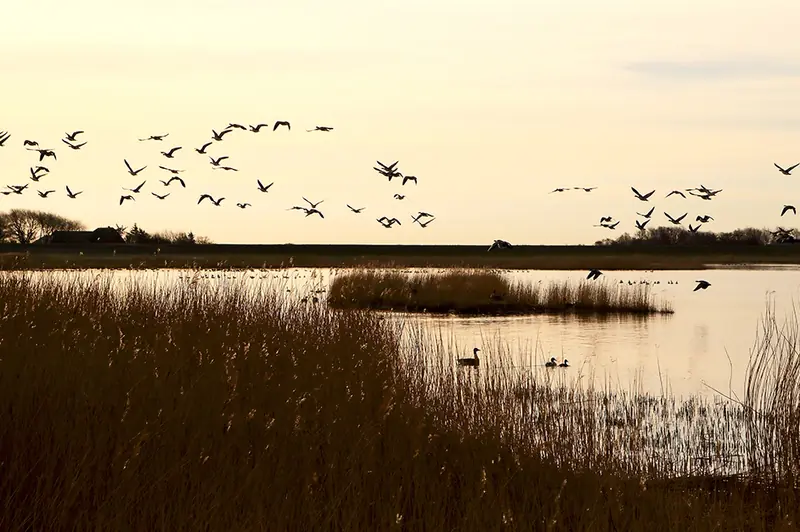  - Nature Reserve in Germany, Germany
