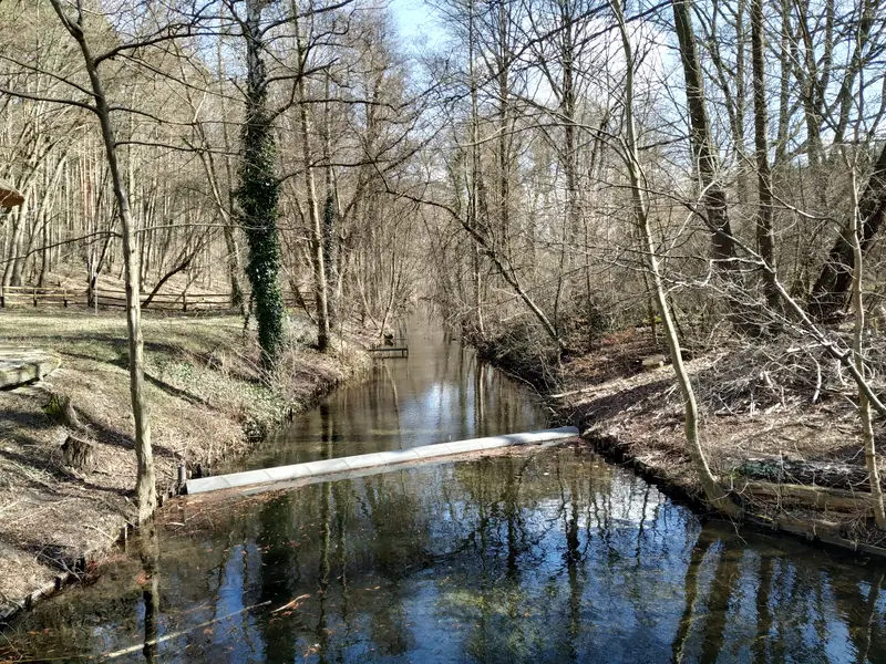  - Nature Reserve in Germany, Germany