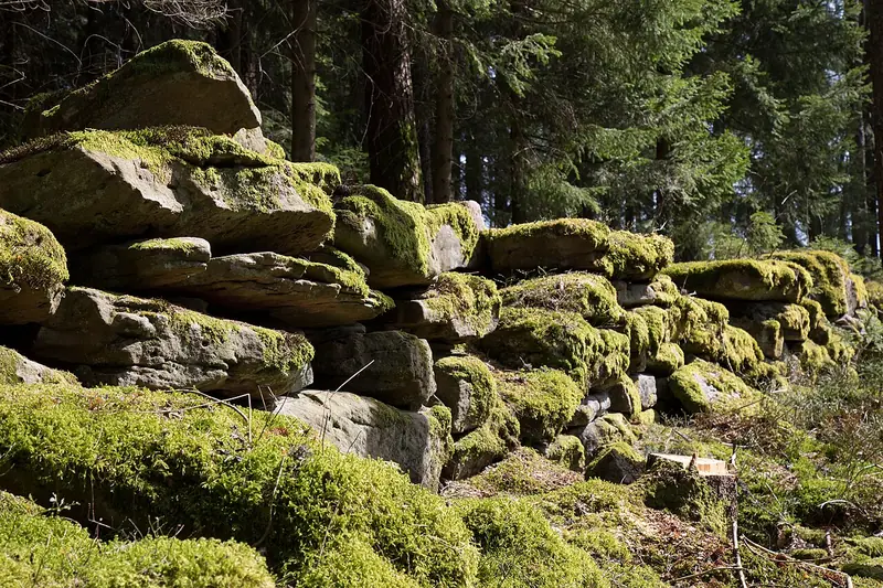  - Roman Villa in Germany, Germany