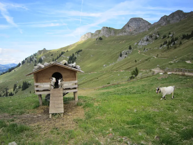  - Mountain in Germany, Germany