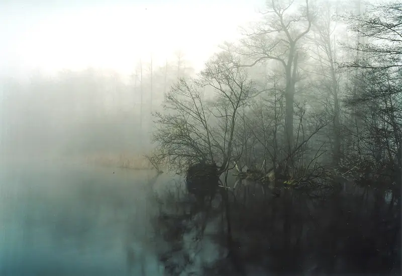  - Nature Reserve in Germany, Germany